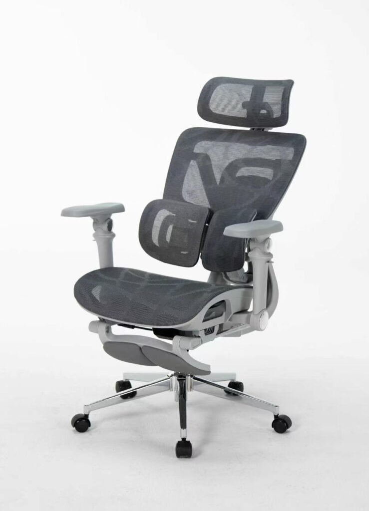 NORVÉL N3 Flagship Ergonomic Office Chair
